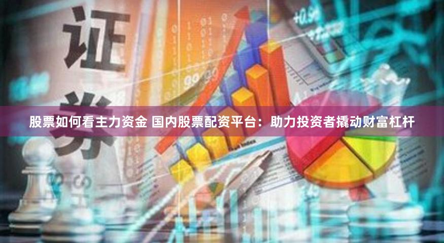 股票如何看主力资金 国内股票配资平台：助力投资者撬动财富杠杆