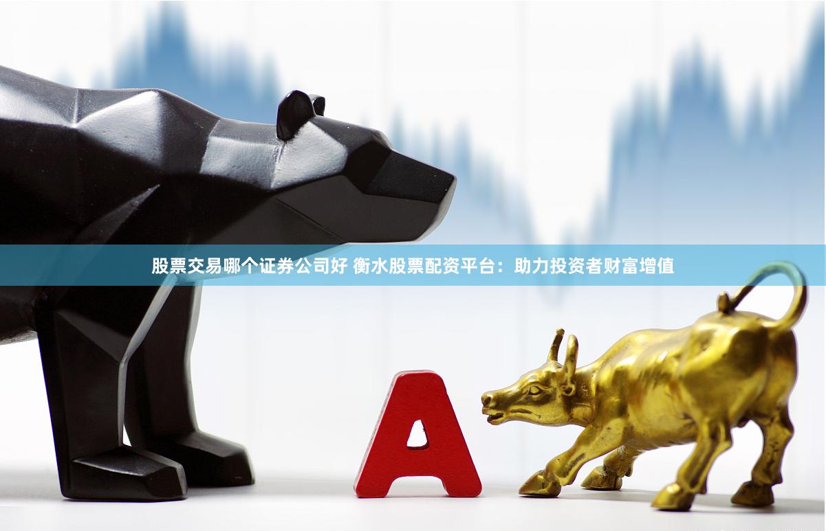 股票交易哪个证券公司好 衡水股票配资平台：助力投资者财富增值